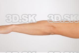 Forearm texture of Rufus 0001